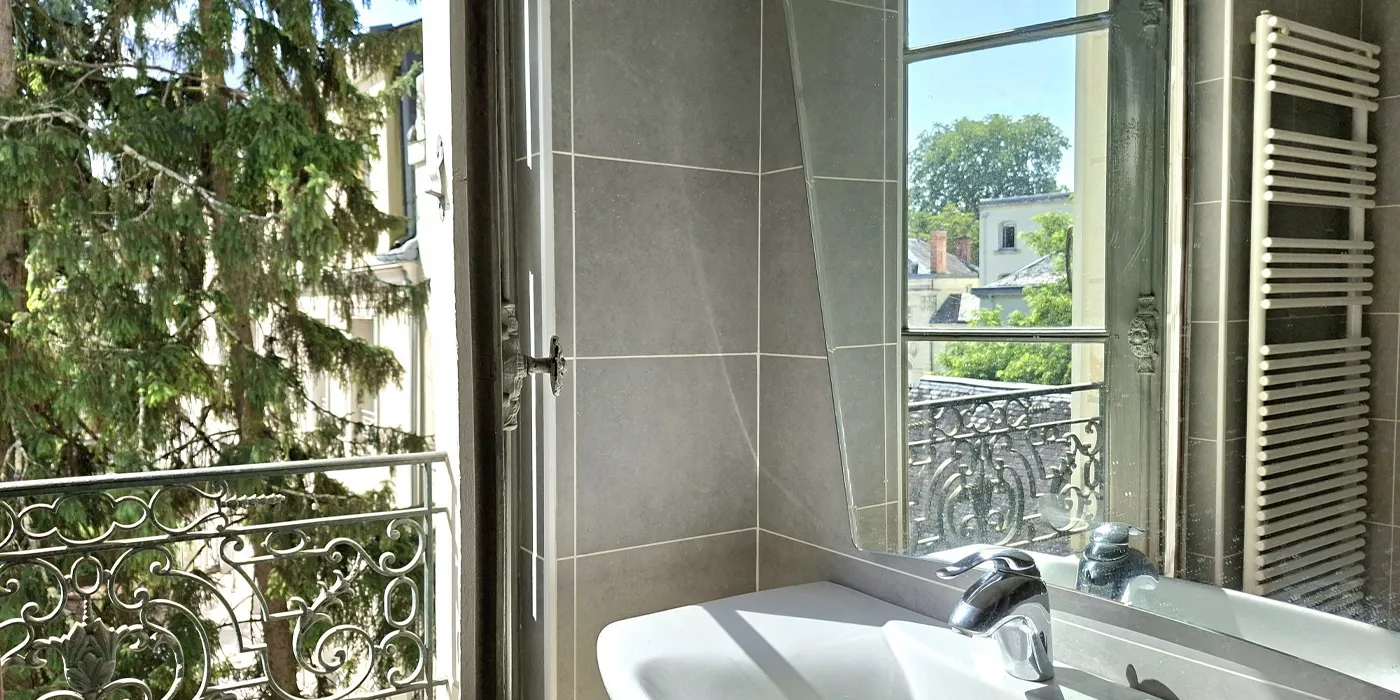 Vue détail salle de bain appartement Immeuble de 360 m2 avec 4 appartements dont 3 loués à vendre ou pour investir sur Tours Centre, Quartier Avenue de Grammont  | Vente 37