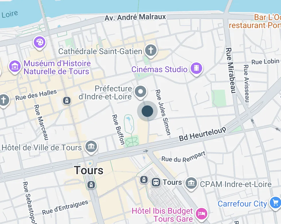 localisation Loft de 180 m2 env. avec jardin et 2 chambres à vendre sur Tours Centre, Quartier Cathédrale | Vente 37