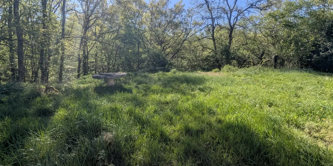 vue jardin proximité forêt maison F5 de 80 m2 sur sous-sol  à vendre sur Chambray-lès-Tours | Vente 37