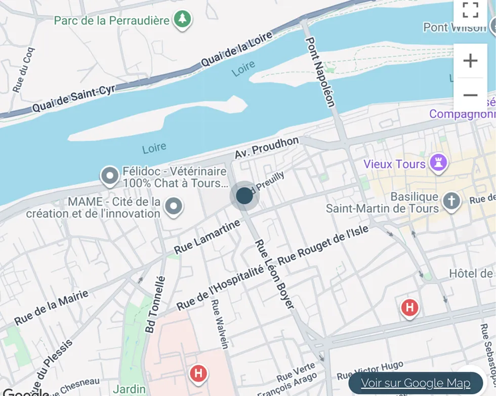 plan localisation Appartement Type 2 de 50 m2 env. à deux pas du centre historique de Tours et des bords de Loire | Vente 37
