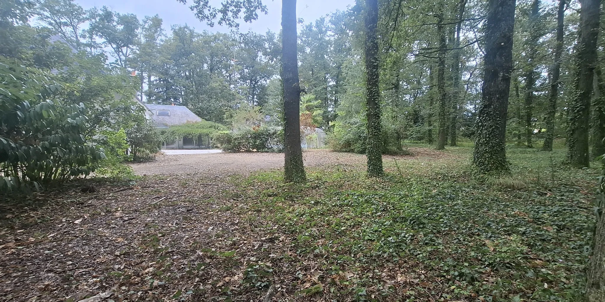 Vue arrière Terrain de 6500 m2 env avec parc boisé pour construction maison à vendre sur chambray-lès-tours | Vente 37