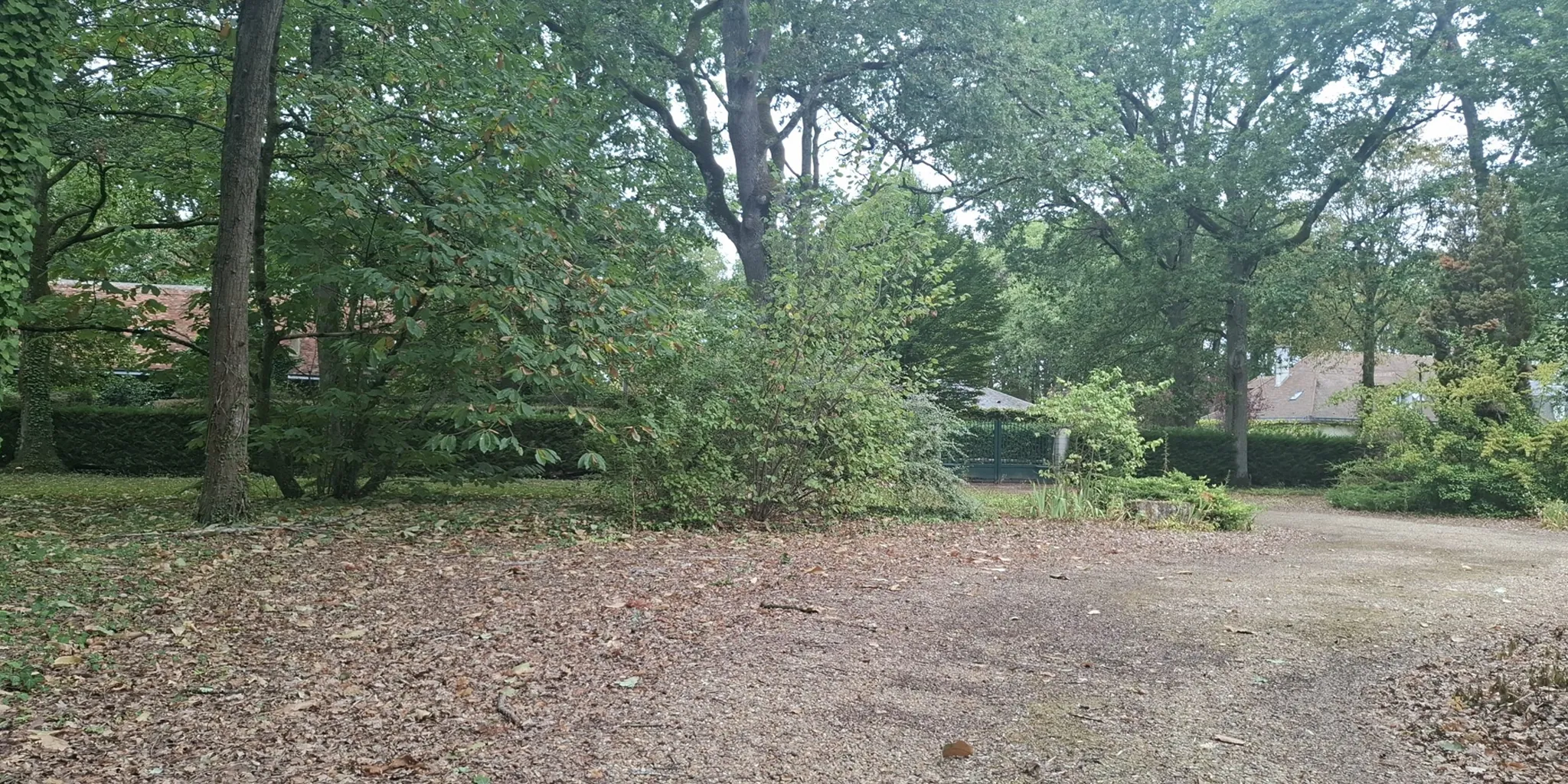 Deuxième parc boisé Terrain de 6500 m2 env avec parc boisé pour construction maison à vendre sur chambray-lès-tours | Vente 37